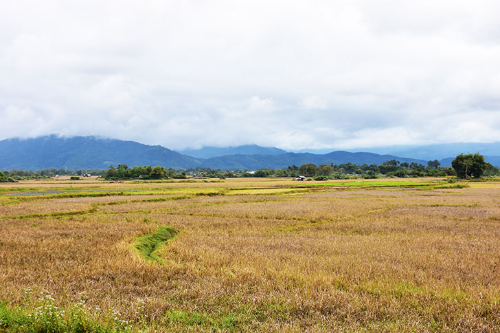 田畑の売却